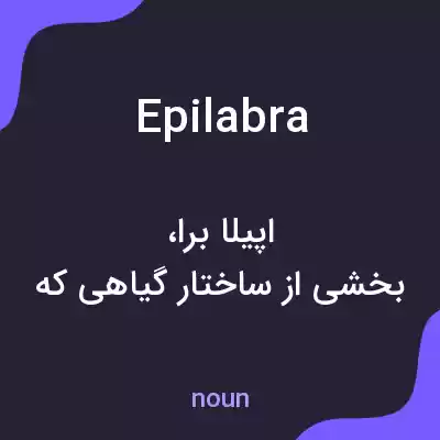 معنی epilabra به فارسی معنی epilabra به فارسی