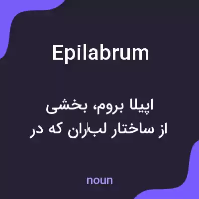 معنی epilabrum به فارسی