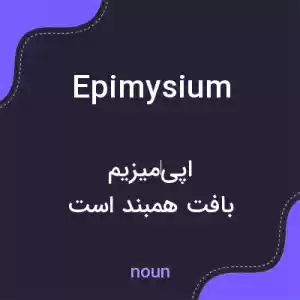 معنی epimysium به فارسی معنی epimysium به فارسی
