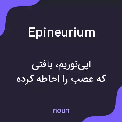 معنی epineurium به فارسی معنی epineurium به فارسی
