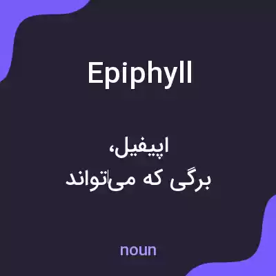 معنی epiphyll به فارسی