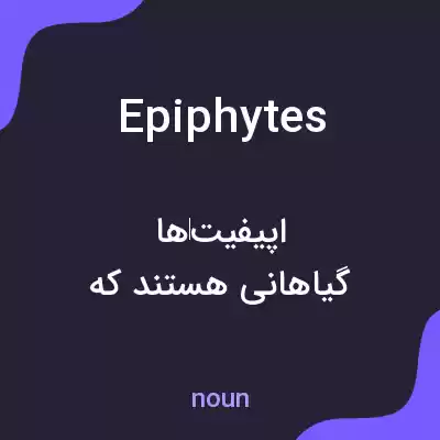 معنی epiphytes به فارسی معنی epiphytes به فارسی