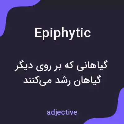 معنی epiphytic به فارسی معنی epiphytic به فارسی