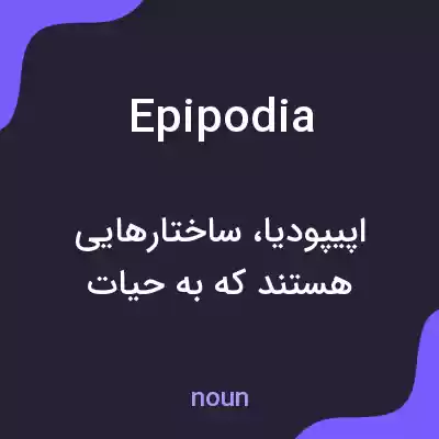 معنی epipodia به فارسی معنی epipodia به فارسی