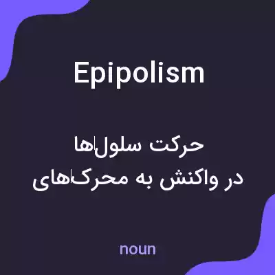 معنی epipolism به فارسی معنی epipolism به فارسی