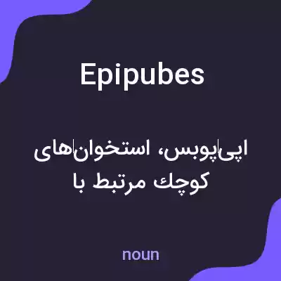 معنی epipubes به فارسی معنی epipubes به فارسی