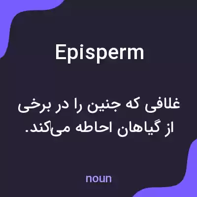 معنی episperm به فارسی معنی episperm به فارسی