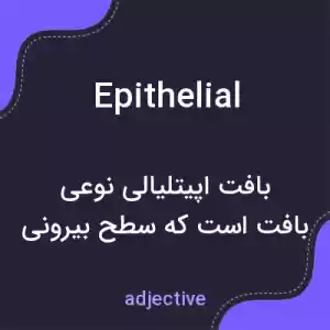 معنی epithelial به فارسی