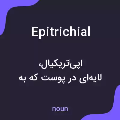 معنی epitrichial به فارسی معنی epitrichial به فارسی