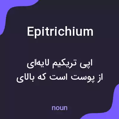 معنی epitrichium به فارسی معنی epitrichium به فارسی