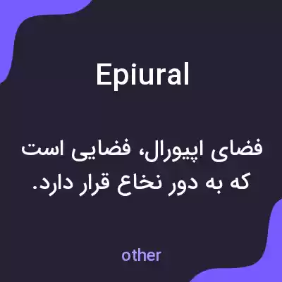 معنی epiural به فارسی معنی epiural به فارسی