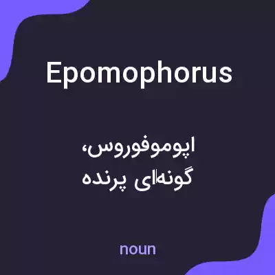 معنی epomophorus به فارسی معنی epomophorus به فارسی