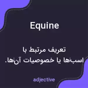معنی equine به فارسی معنی equine به فارسی