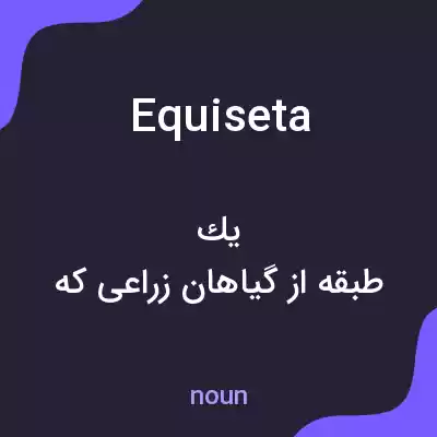 معنی equiseta به فارسی معنی equiseta به فارسی