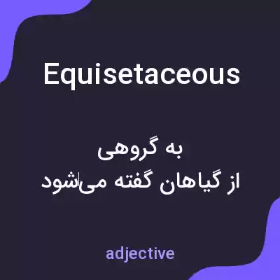 معنی equisetaceous به فارسی معنی equisetaceous به فارسی