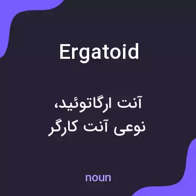 معنی ergatoid به فارسی معنی ergatoid به فارسی
