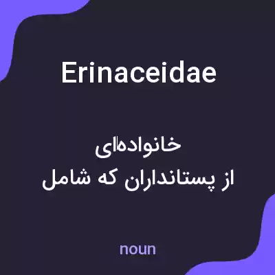 معنی erinaceidae به فارسی معنی erinaceidae به فارسی