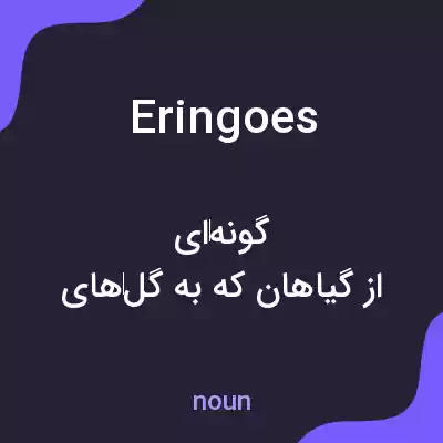 معنی eringoes به فارسی معنی eringoes به فارسی