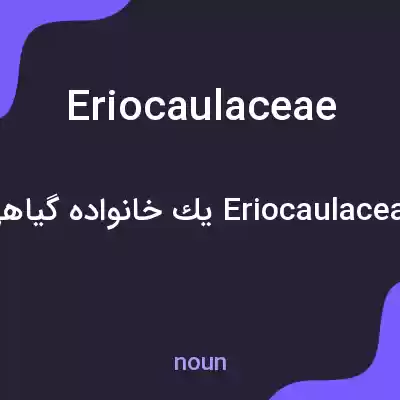 معنی eriocaulaceae به فارسی معنی eriocaulaceae به فارسی