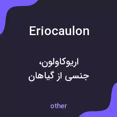 معنی eriocaulon به فارسی معنی eriocaulon به فارسی