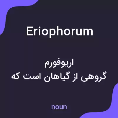 معنی eriophorum به فارسی معنی eriophorum به فارسی