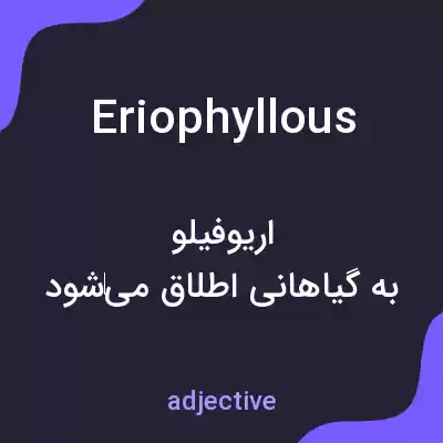 معنی eriophyllous به فارسی معنی eriophyllous به فارسی
