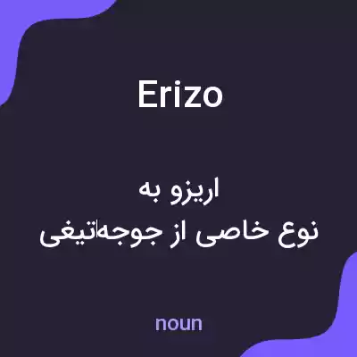 معنی erizo به فارسی معنی erizo به فارسی