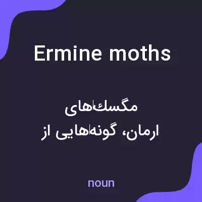 معنی ermine moths به فارسی