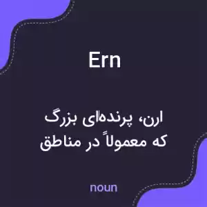 معنی ern به فارسی معنی ern به فارسی