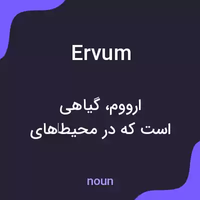 معنی ervum به فارسی معنی ervum به فارسی