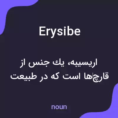 معنی erysibe به فارسی معنی erysibe به فارسی
