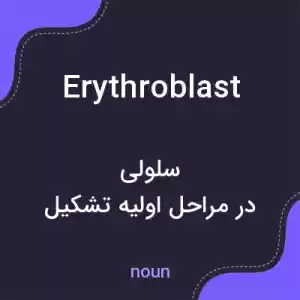 معنی erythroblast به فارسی معنی erythroblast به فارسی