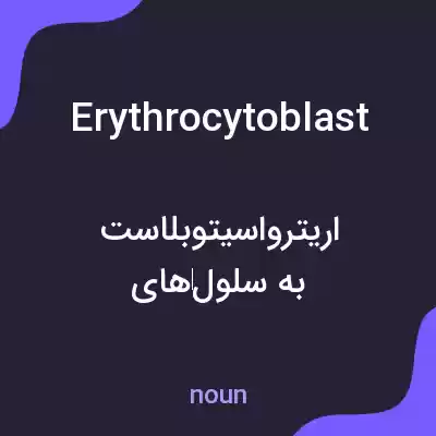 معنی erythrocytoblast به فارسی معنی erythrocytoblast به فارسی