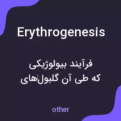 معنی erythrogenesis به فارسی معنی erythrogenesis به فارسی