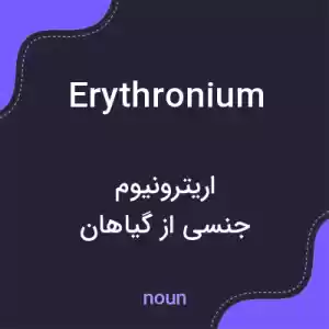 معنی erythronium به فارسی معنی erythronium به فارسی