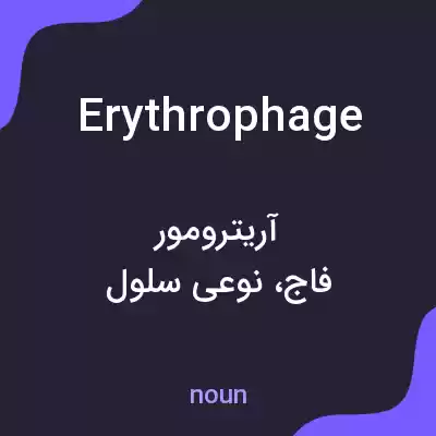 معنی erythrophage به فارسی معنی erythrophage به فارسی