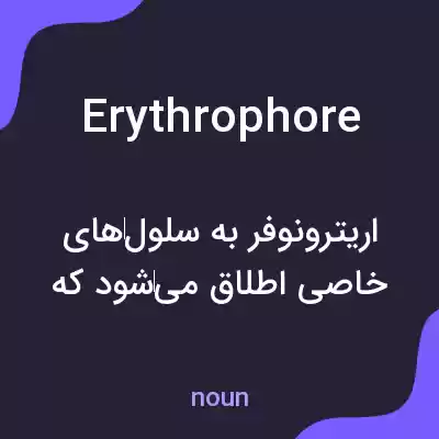 معنی erythrophore به فارسی معنی erythrophore به فارسی