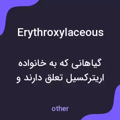معنی erythroxylaceous به فارسی معنی erythroxylaceous به فارسی