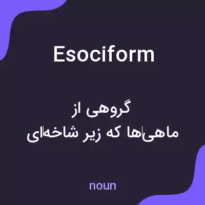 معنی esociform به فارسی معنی esociform به فارسی