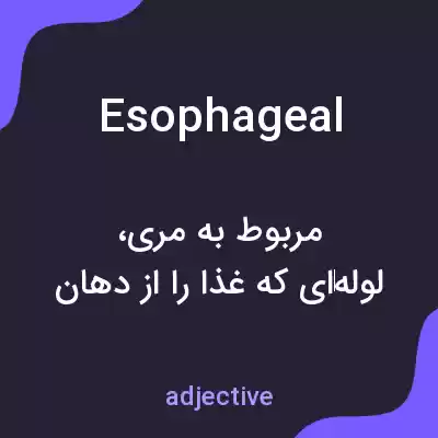 معنی esophageal به فارسی معنی esophageal به فارسی