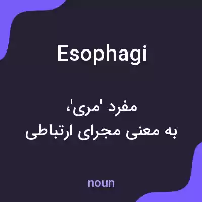 معنی esophagi به فارسی معنی esophagi به فارسی