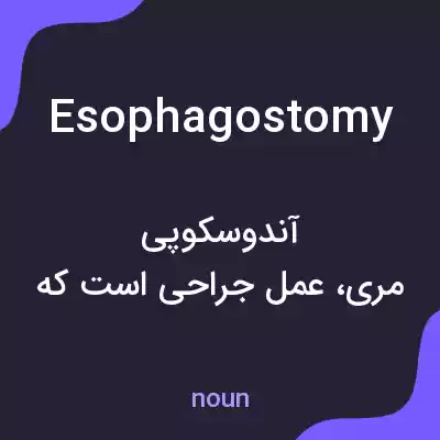 معنی esophagostomy به فارسی معنی esophagostomy به فارسی