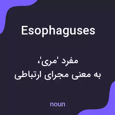 معنی esophaguses به فارسی معنی esophaguses به فارسی