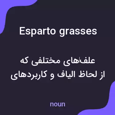 معنی esparto grasses به فارسی معنی esparto grasses به فارسی