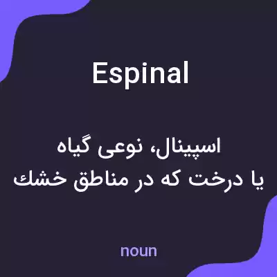 معنی espinal به فارسی معنی espinal به فارسی