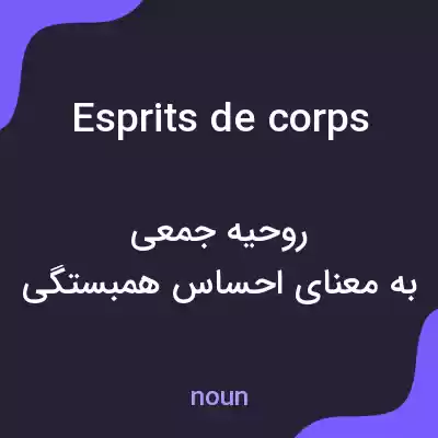 معنی esprits de corps به فارسی معنی esprits de corps به فارسی