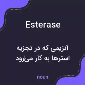 معنی esterase به فارسی معنی esterase به فارسی