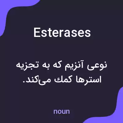 معنی esterases به فارسی معنی esterases به فارسی