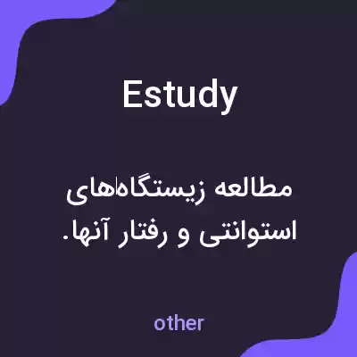 معنی estudy به فارسی معنی estudy به فارسی