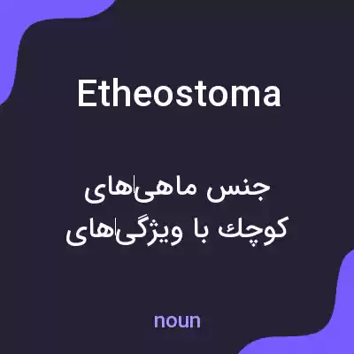 معنی etheostoma به فارسی